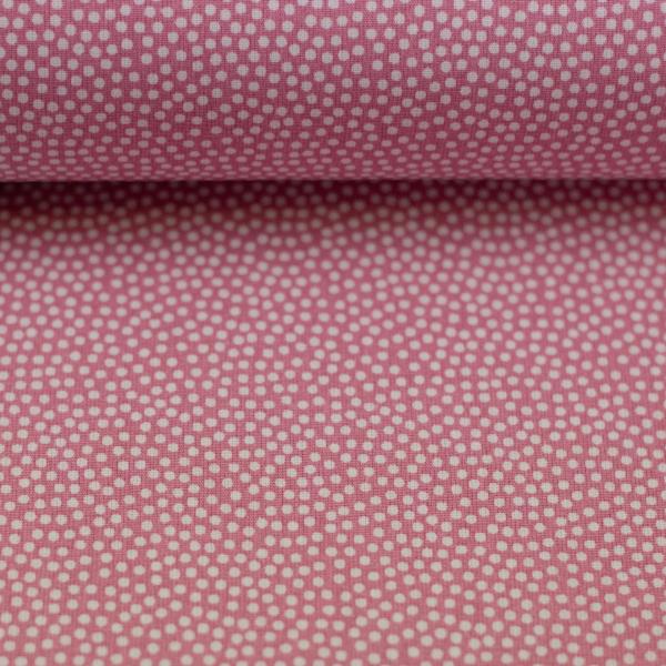 Baumwolle Dotty Altrosa/Weiß by Swafing